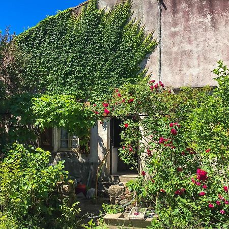 Le Mas Du Figuier, Maison De Vacances Le Bousquet-d'Orb Екстериор снимка